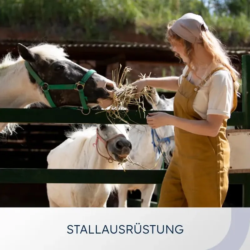 Category card “Stable equipment”: a woman feeding two ponies at the fence