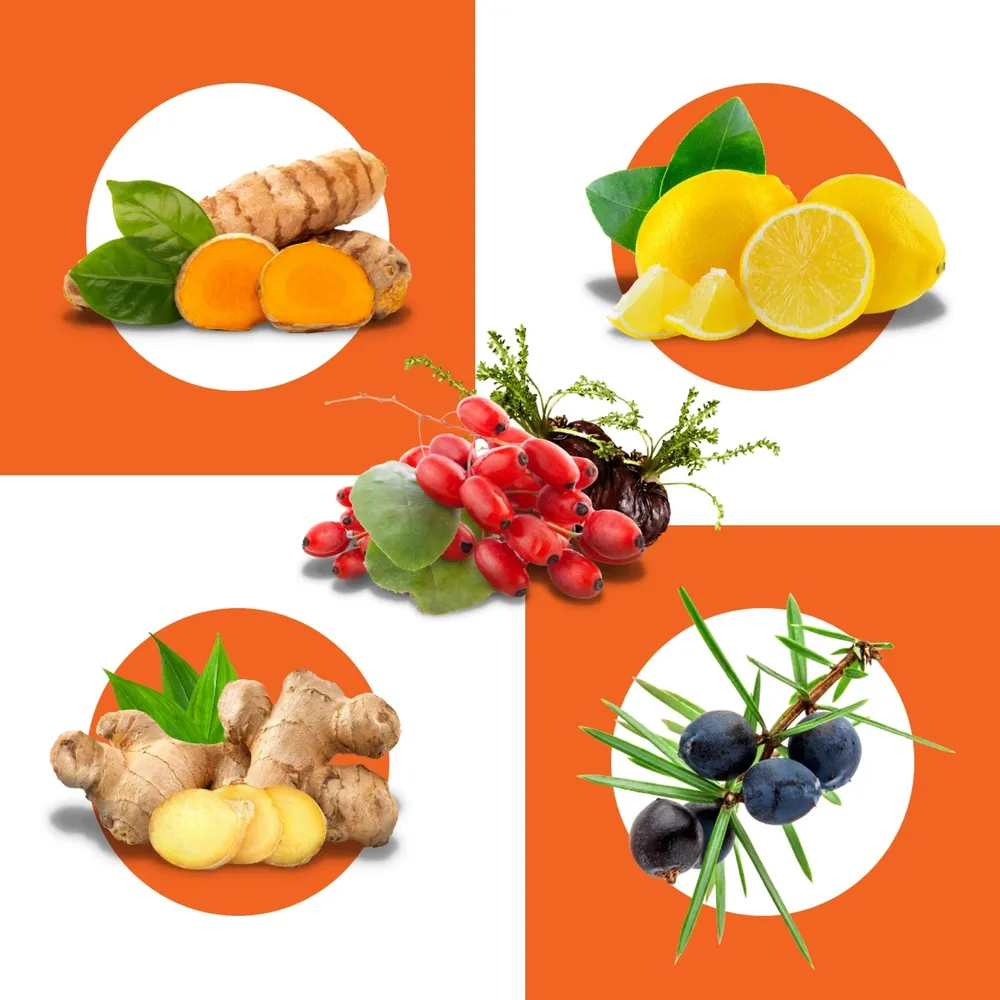 Turmeric, lemon, ginger, juniper and rose hip in circles on an orange grid