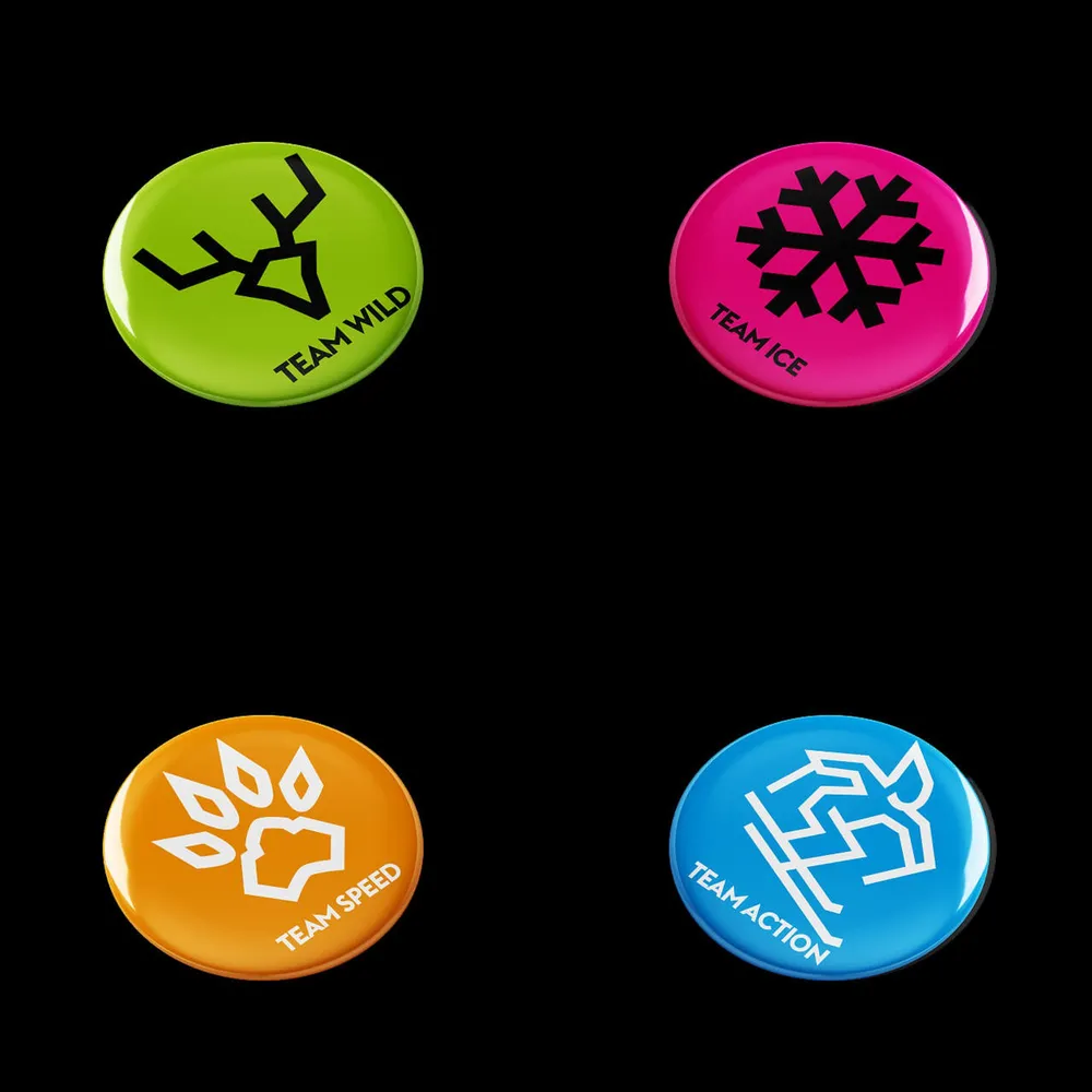 Four pin badges for Team Wild, Team Ice, Team Speed and Team Action