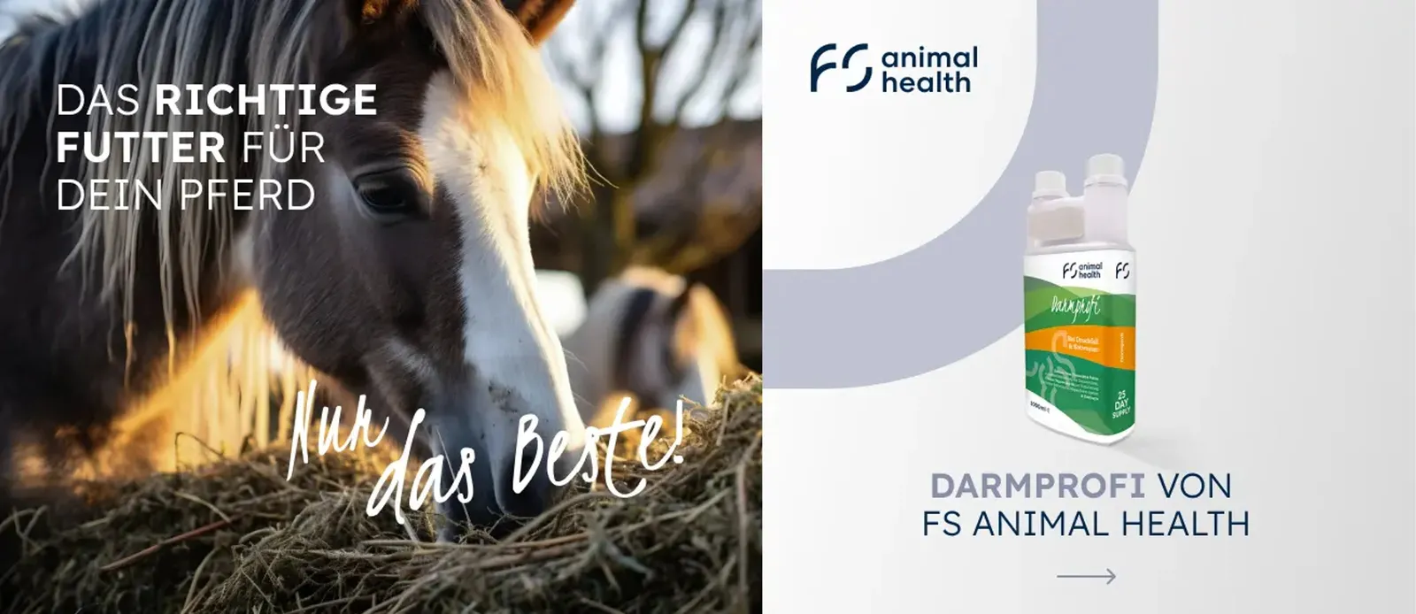 Banner area “The right feed for your horse” with a horse at the hay and the product Darmprofi