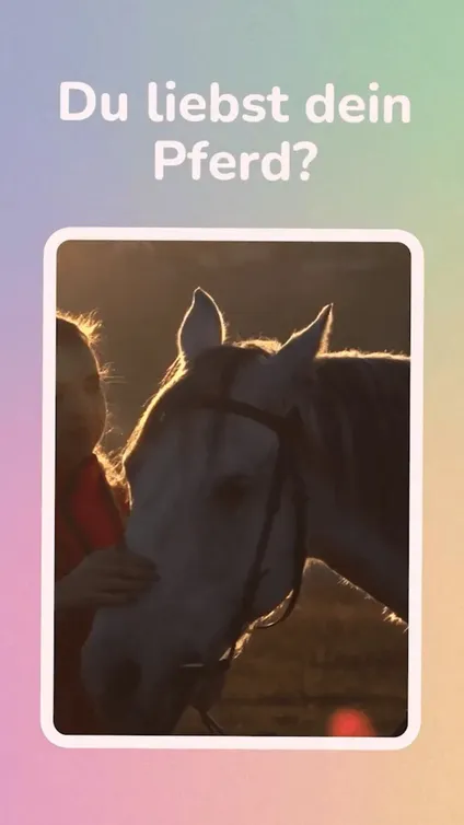 Story clip with the question “Do you love your horse?” over a backlit shot