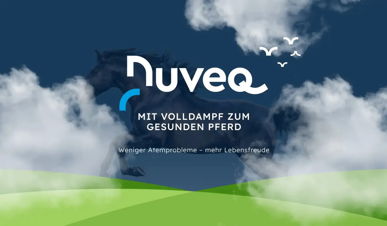 Nuveq opener: a galloping horse in the mist above a green pasture, with the slogan “Full steam ahead to a healthy horse”