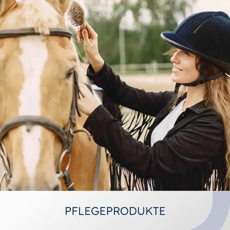Category card “Care products”: a rider brushing a horse's mane