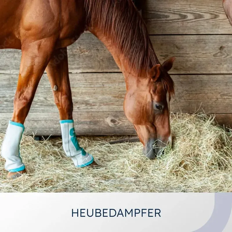 Category card “Hay steamers”: a horse eating hay in front of a wooden wall