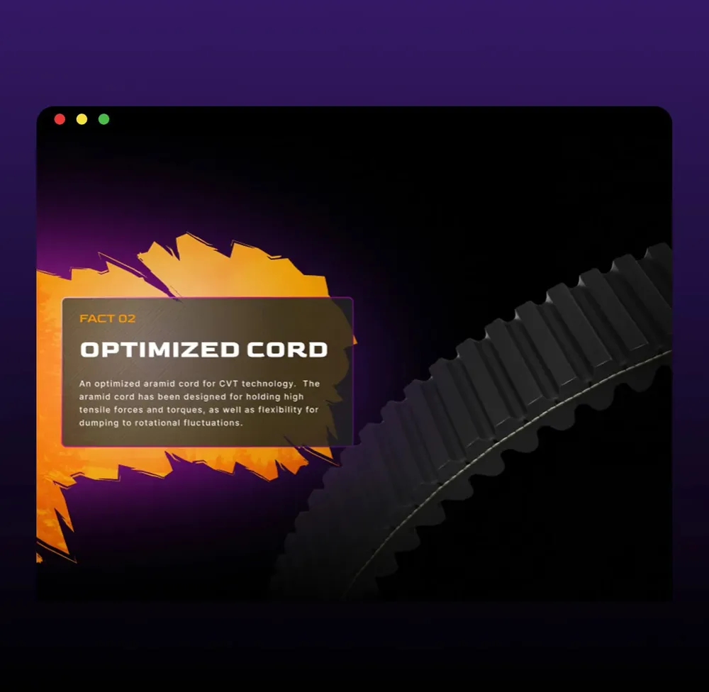 “Optimized Cord” section with the belt in detail