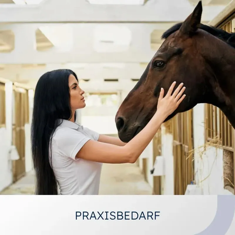 Category card “Practice supplies”: a woman stroking a horse in the stable aisle
