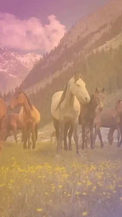 Story clip “5 Fun Facts” over a herd in a flower meadow