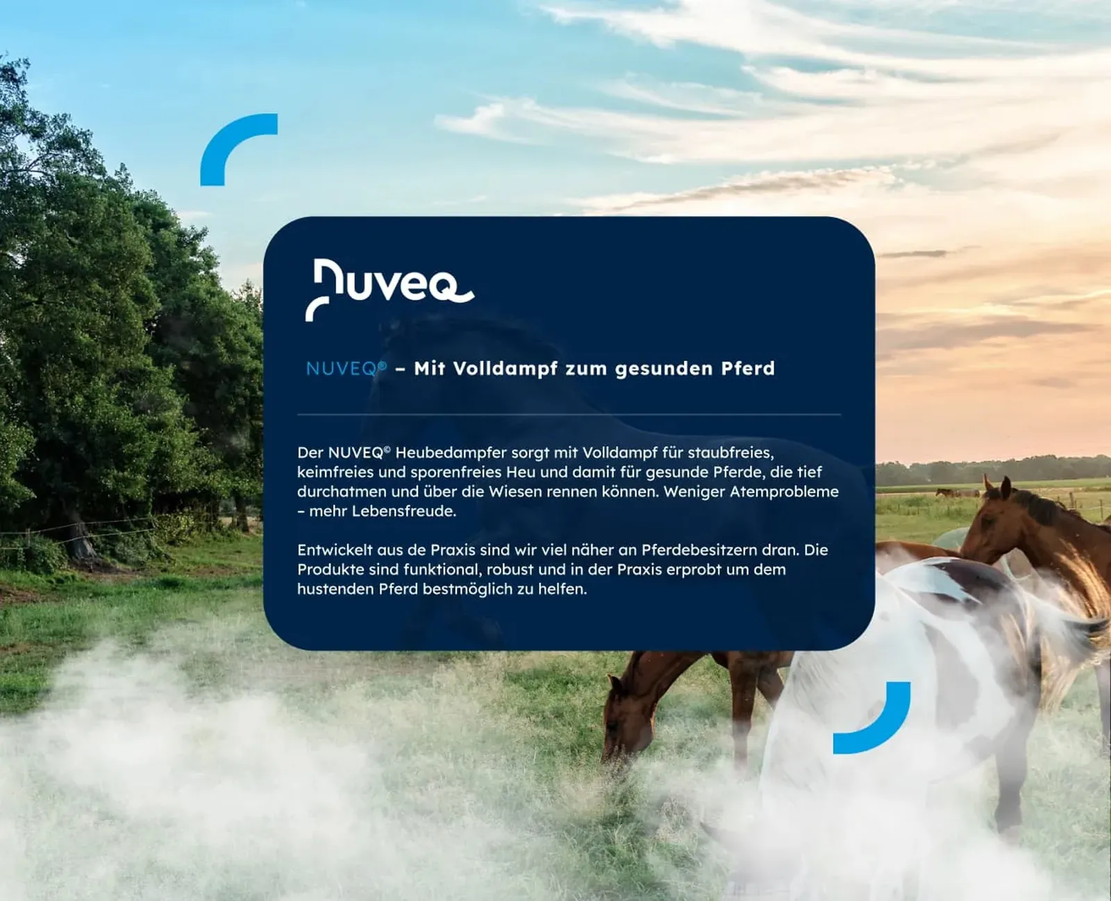Nuveq landing page: a text card above a mist-covered pasture with grazing horses