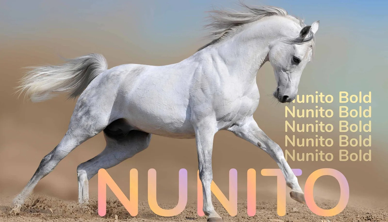 Type specimen of Nunito Bold over a galloping grey horse